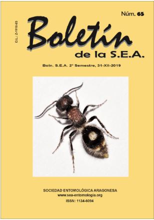 Boletín 65