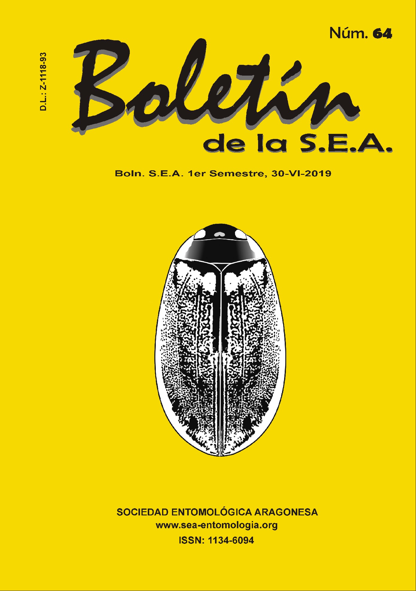 Boletín 64
