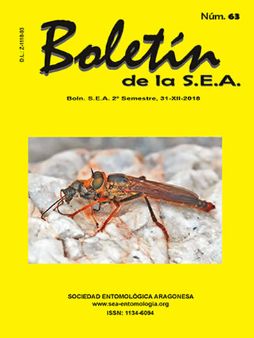 Boletín 63
