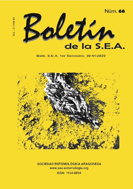 Boletín 66
