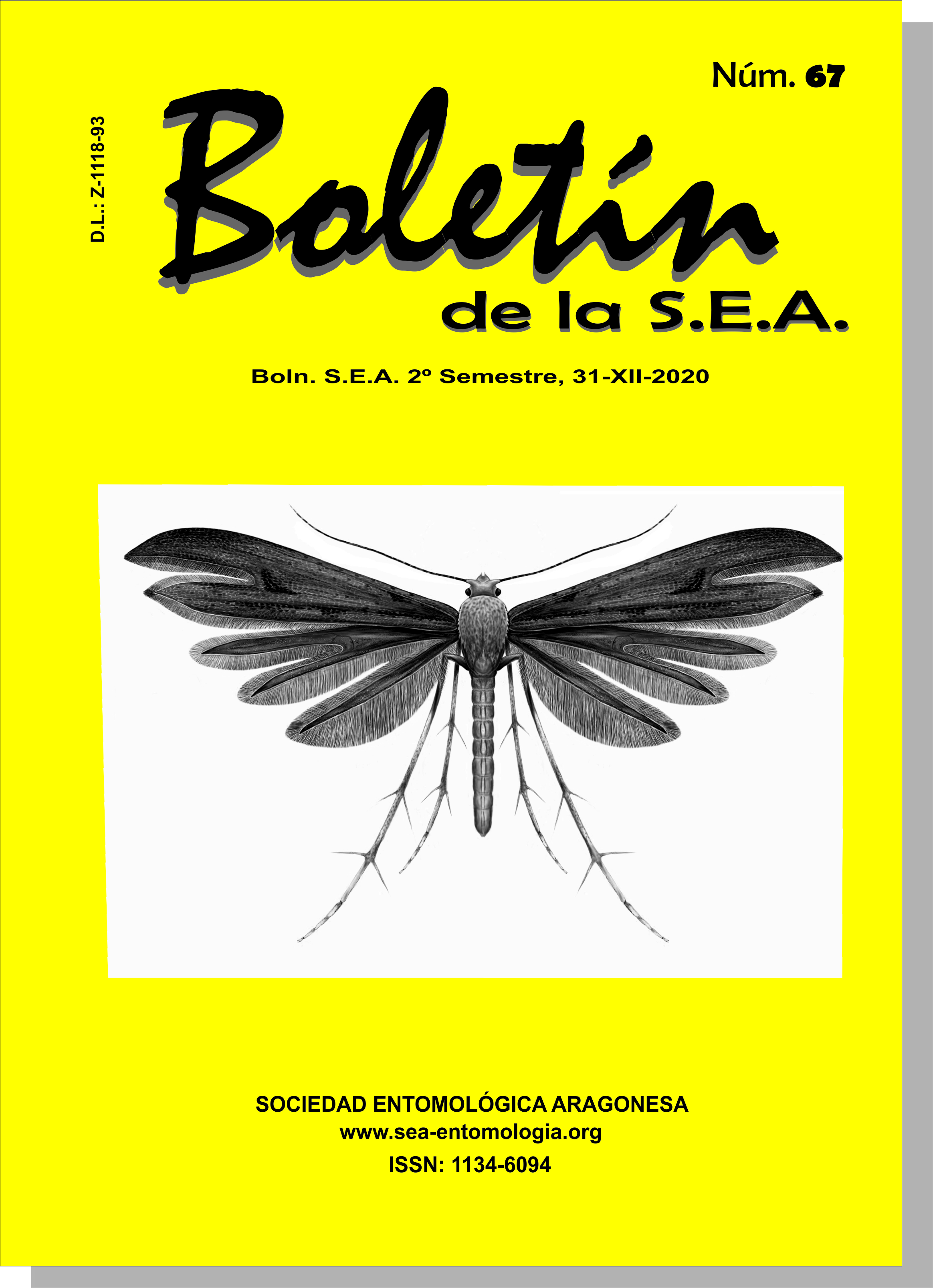 Boletín 67